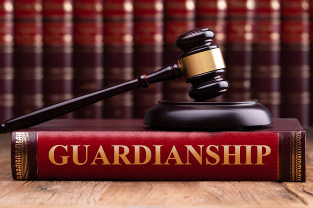 Guardianship Lawyer