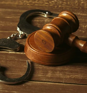 case management system